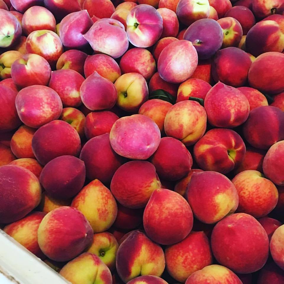 When Is Peach Season In And Across United States